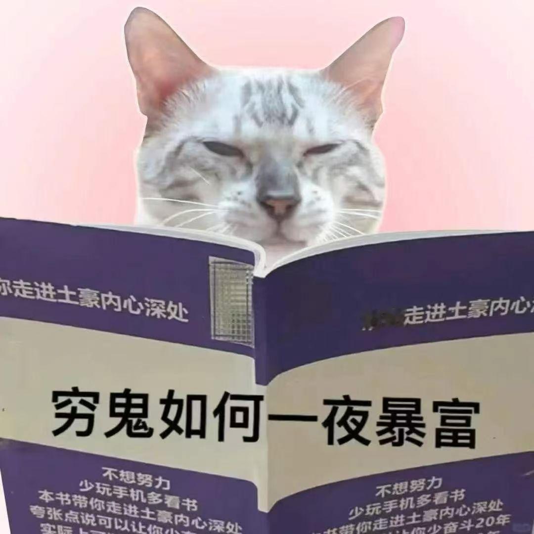如果人生一定要碰壁
那我希望是人民币！