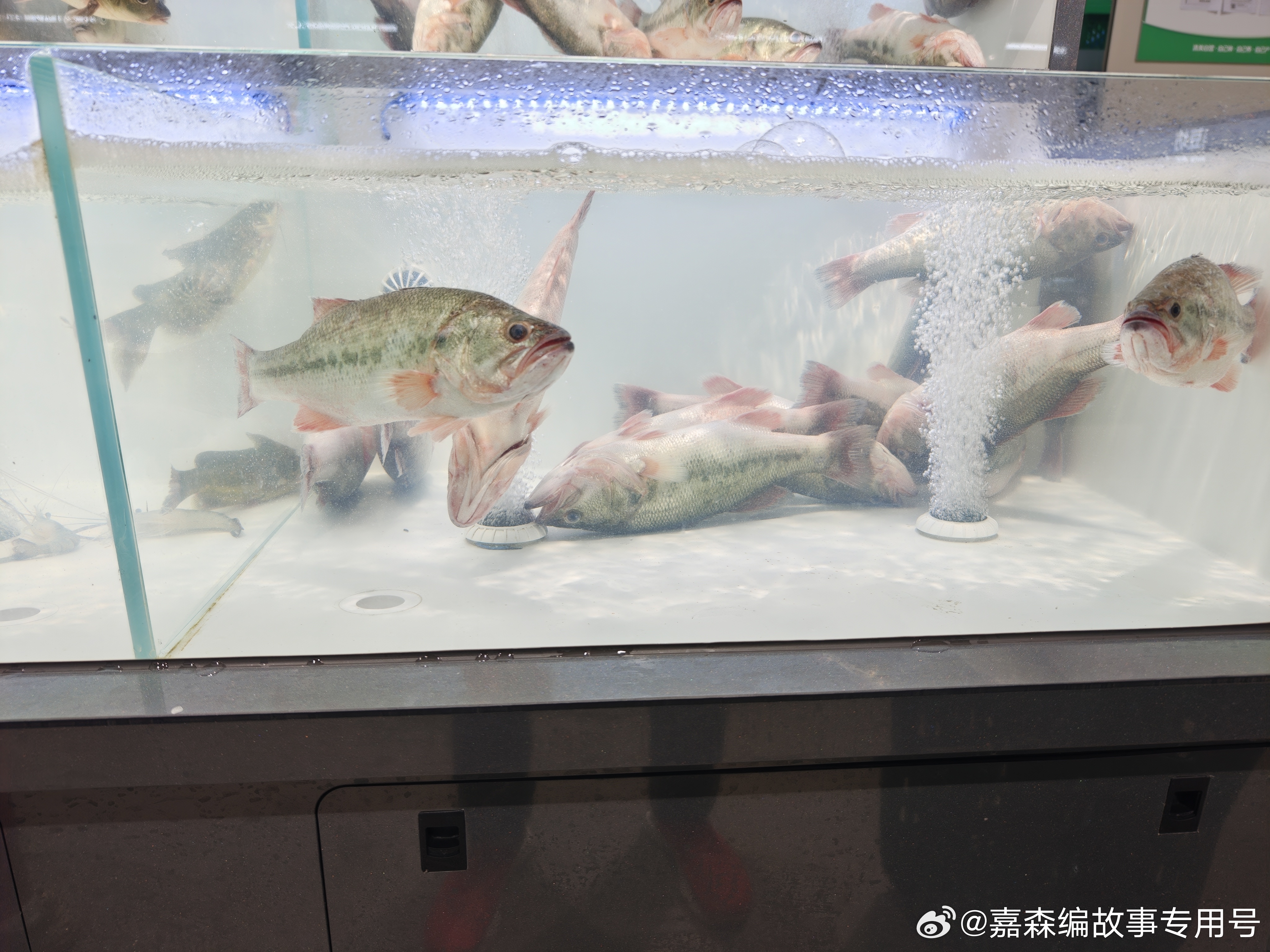 直播前半小时喝咖啡提提神，小刘老师又给我半块抹茶蛋挞。两股力量对冲，好嘞，这下翻