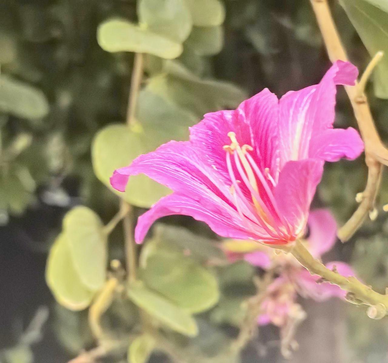 对志愿填报,有什么建议吗?