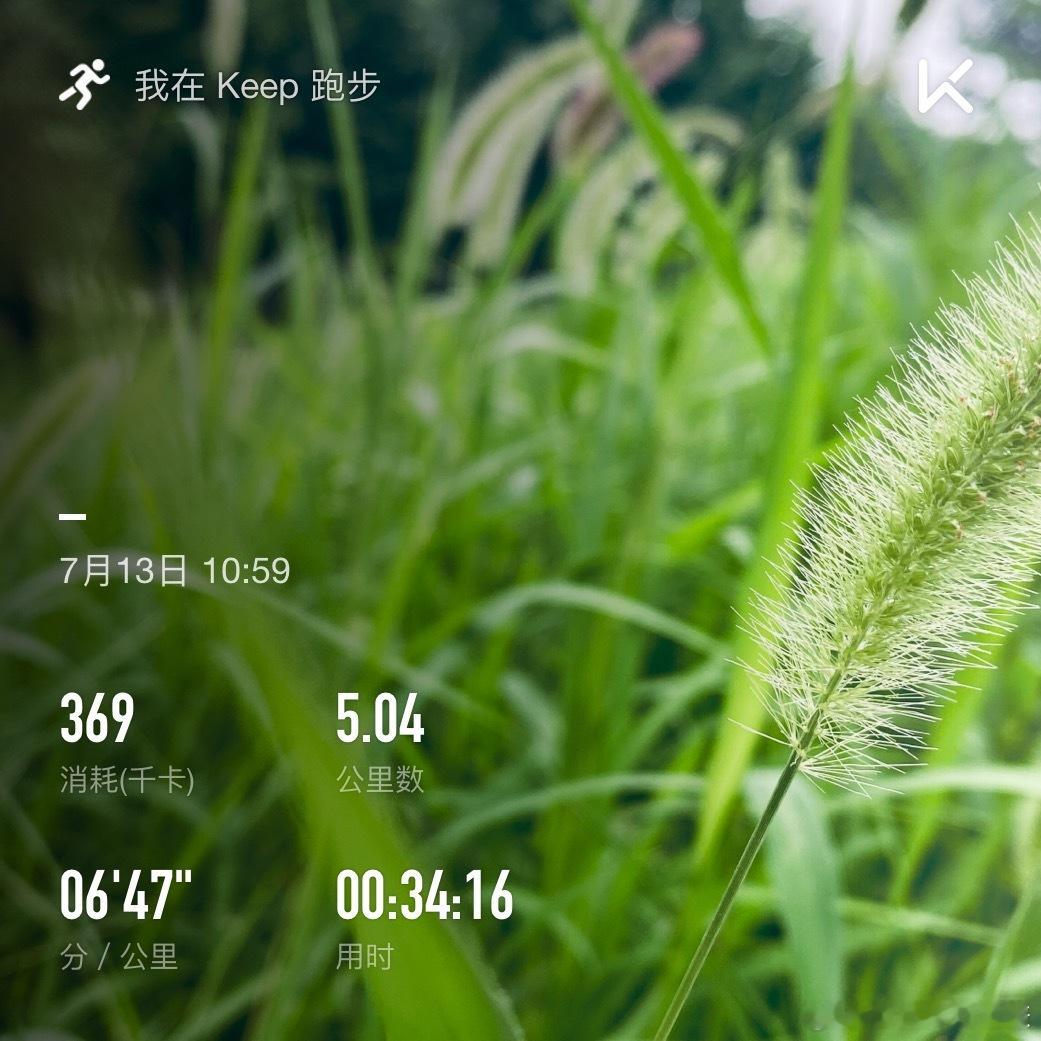 #跟我一起变瘦变美# 微风，细雨，慢摇～我所在的城市，24℃，你呢？  ​​​