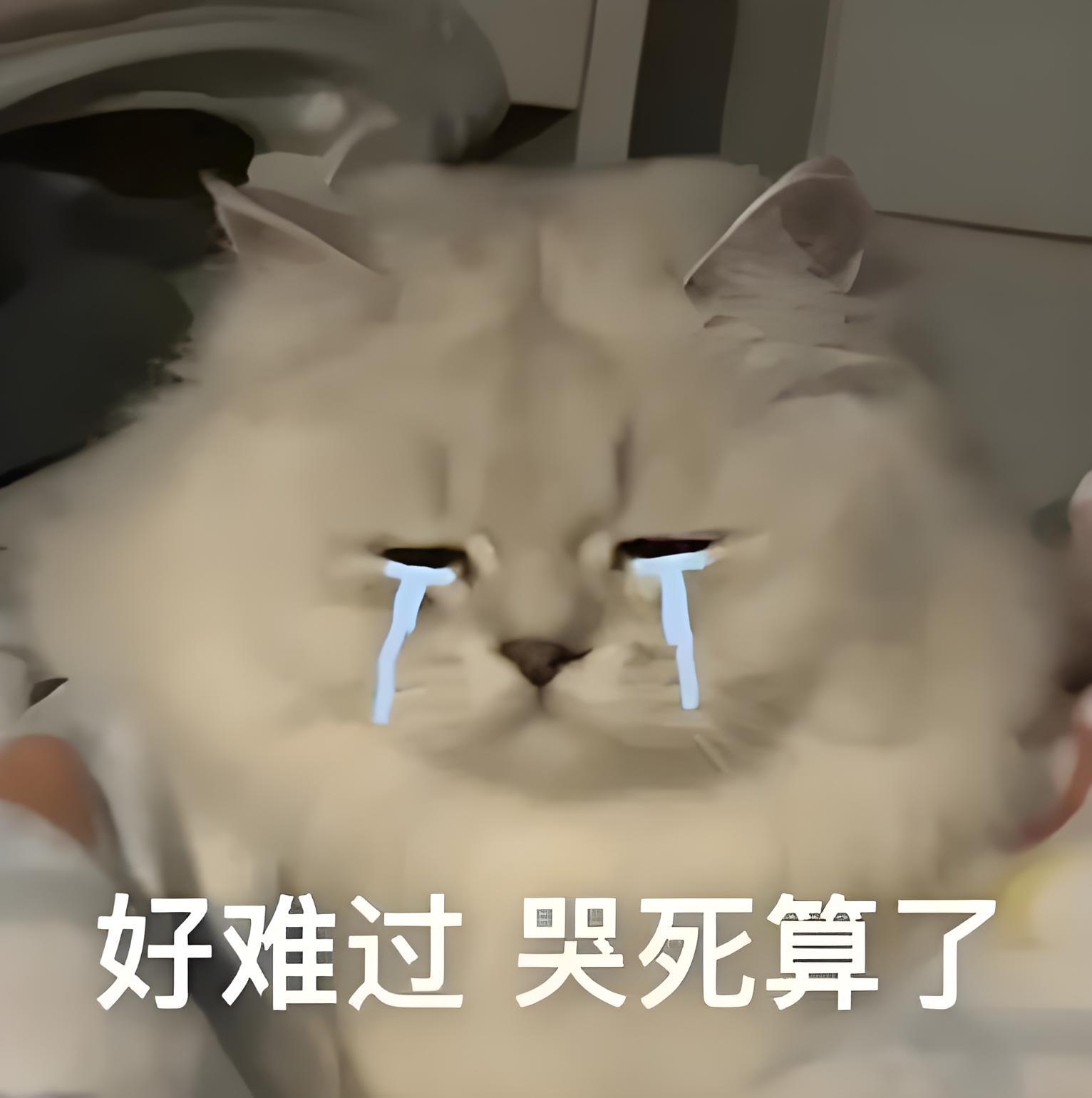 路过熊不熊给我善善真不知道是怎么了🍎也吞，👍🏻也吞，白耗吞，红v🍎也吞连