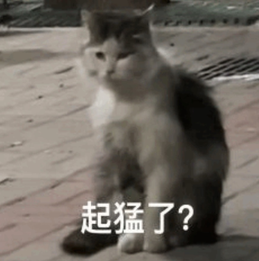 起猛了，我连胜怎么没了超话创作官 ｜尼克斯终结马刺11连胜