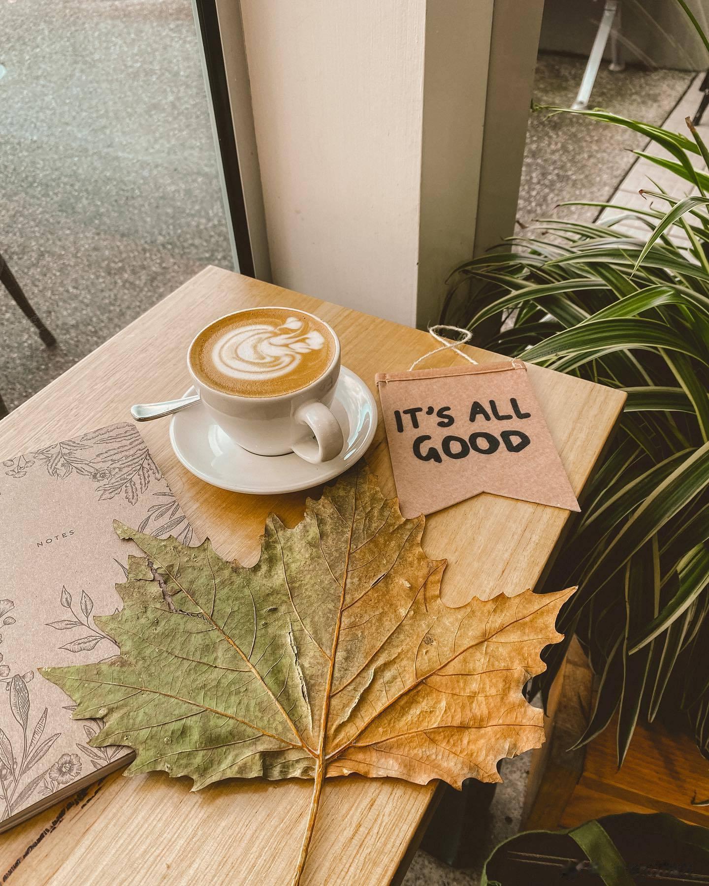 Get a coffee ☕#Ins##立秋# ​​​