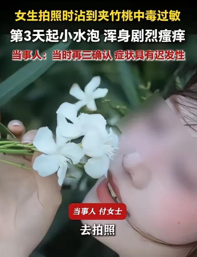 悲剧还是发生了！福建泉州，一女子趁着天气好，打扮得漂漂亮亮出去拍照，看见一丛白色