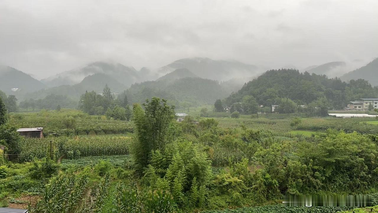 山蒙蒙，雨蒙蒙。天凉好个秋[大笑]