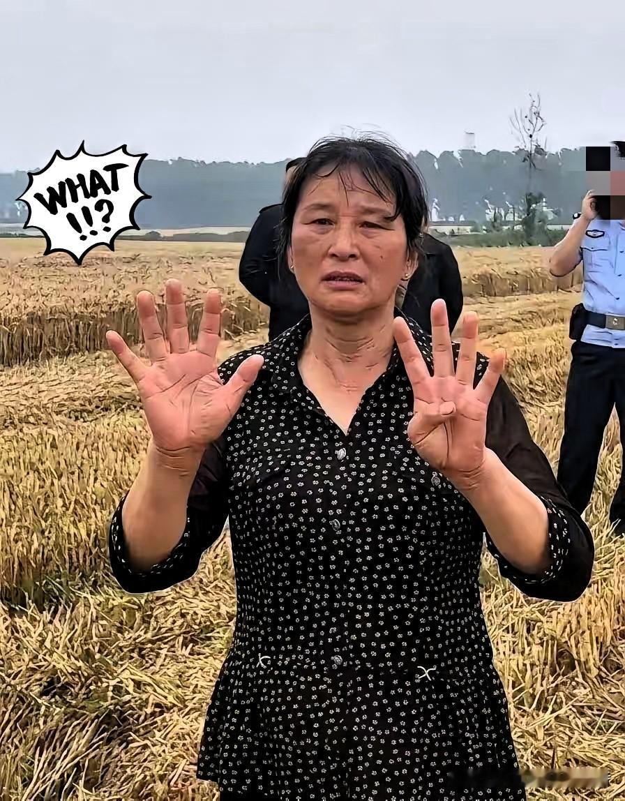 襄阳那位“割四赔五”的大妈，终于低头了。

前阵子这事闹得沸沸扬扬，人家两口子大