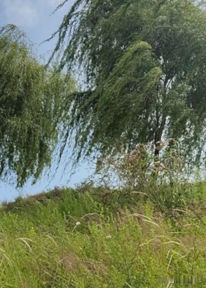 其实，我并不像我的外表表现得那么开朗乐观放得下。我从年轻一路磕磕碰碰跌跌撞撞走到