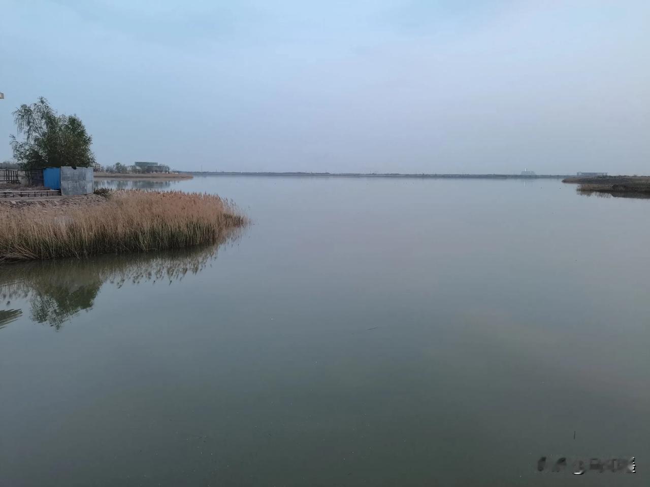 日常的人间（74）


母亲是基督徒
她总念叨淄博的好
那里她可以自己坐公交车