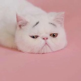 糖甜读读生活服务