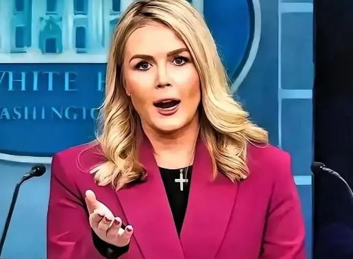 等了这么多天，背后的大鱼终于浮出水面，而日本背后的大鱼也不出我们所料，正是被称为