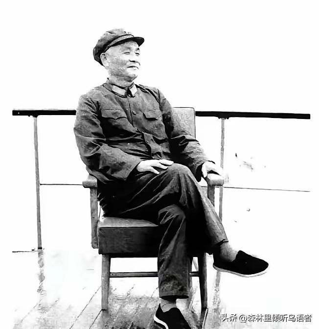 1985年，七十二岁开国中将杜义德，主动把原本在空军安稳服役的幼子杜伟调动至陆军