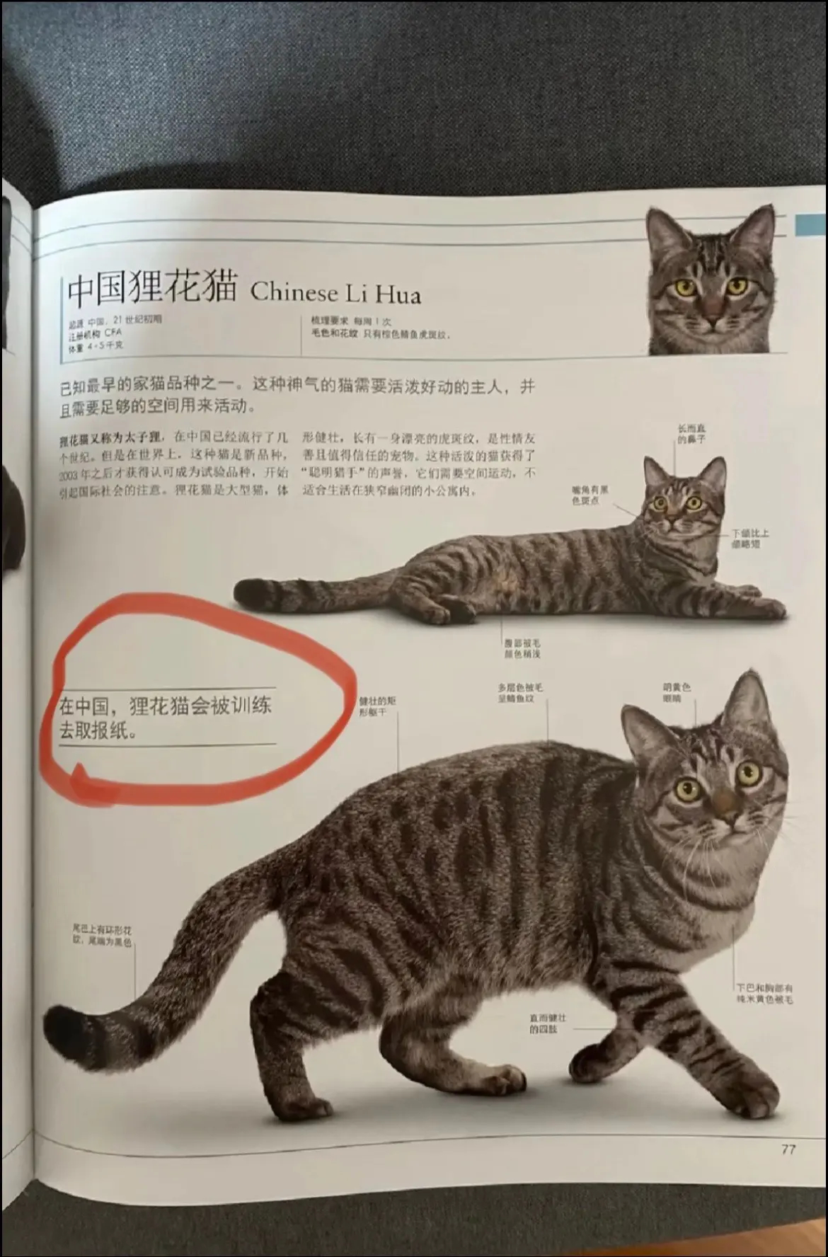 人 ，我现在去给你拿报纸 ​​​