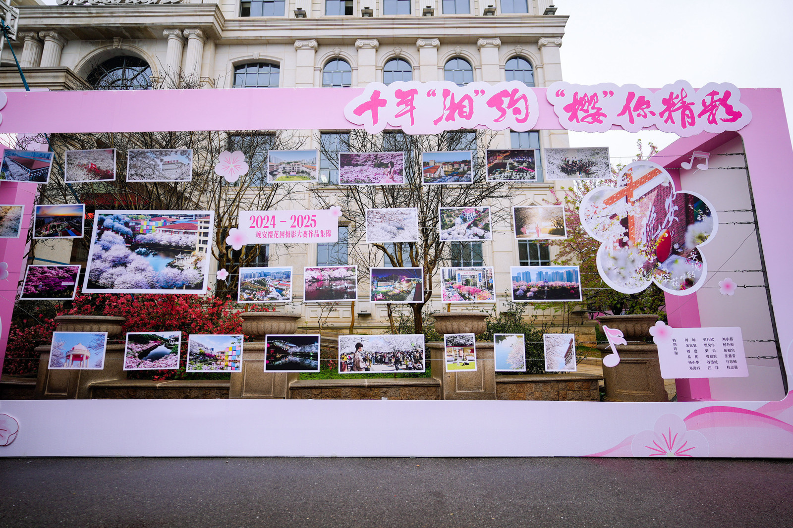 长沙最浪漫领证地【长沙把婚姻登记处搬进樱花园】春风作聘，樱花为证，长沙也太懂浪漫
