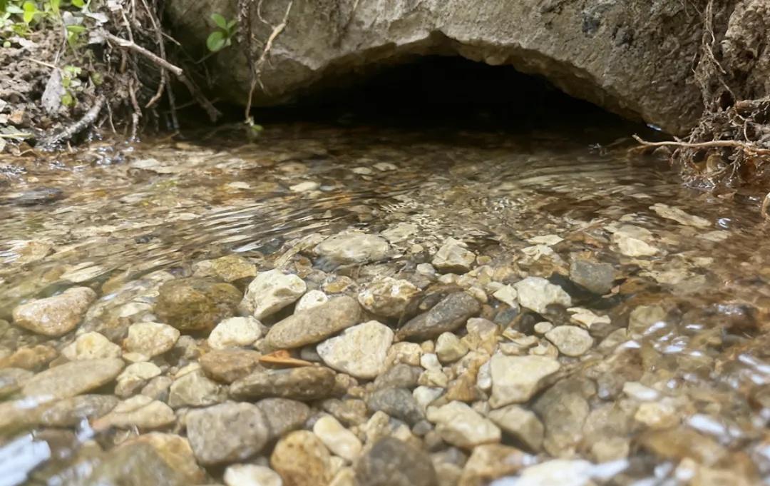 【28年！顺义金鸡塘泉复涌，地下水位连续七年回升】
干涸了28年的金鸡塘泉
再度