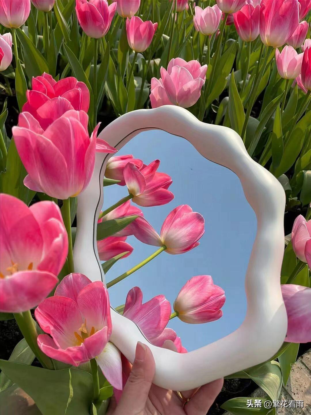 春天的气息让人惊喜，随手抓一束暖风，随手拍一朵花开，便是整个春天。