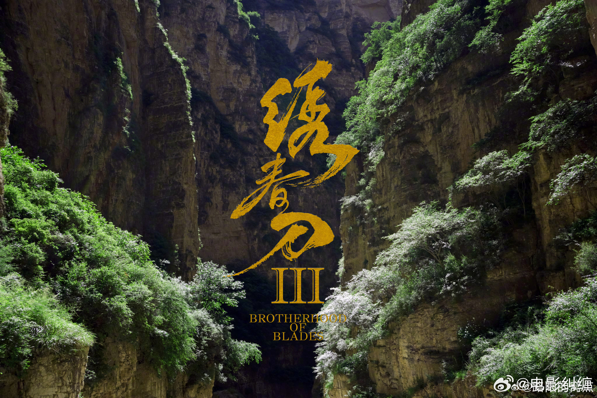 路阳导演的电影《绣春刀3》启动！ 