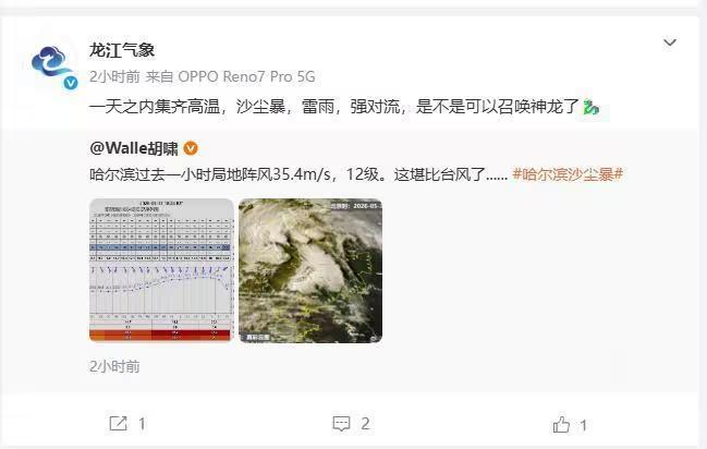 哈尔滨遭强对流天气加罕见沙尘暴侵袭，高大“黑墙”2分钟吞没居民楼，市民称持续半小