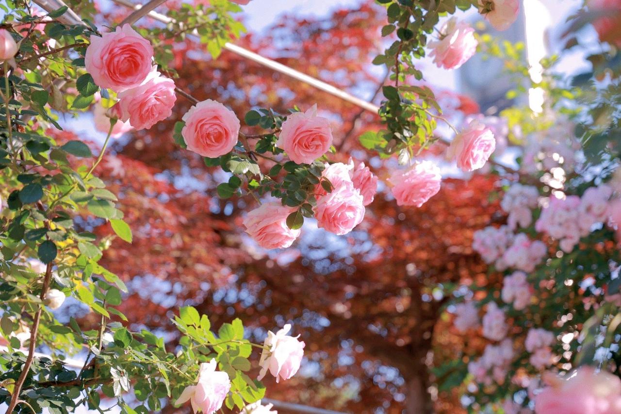 在男女关系当中，有一些人在得到了以后就不知道珍惜，而且这样的人在我们这个社会还占