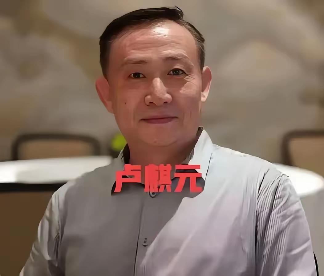卢麒元再次开火，这次瞄准了"十五五"规划中若隐若现的华盛顿共识幽灵。他尖锐地指出