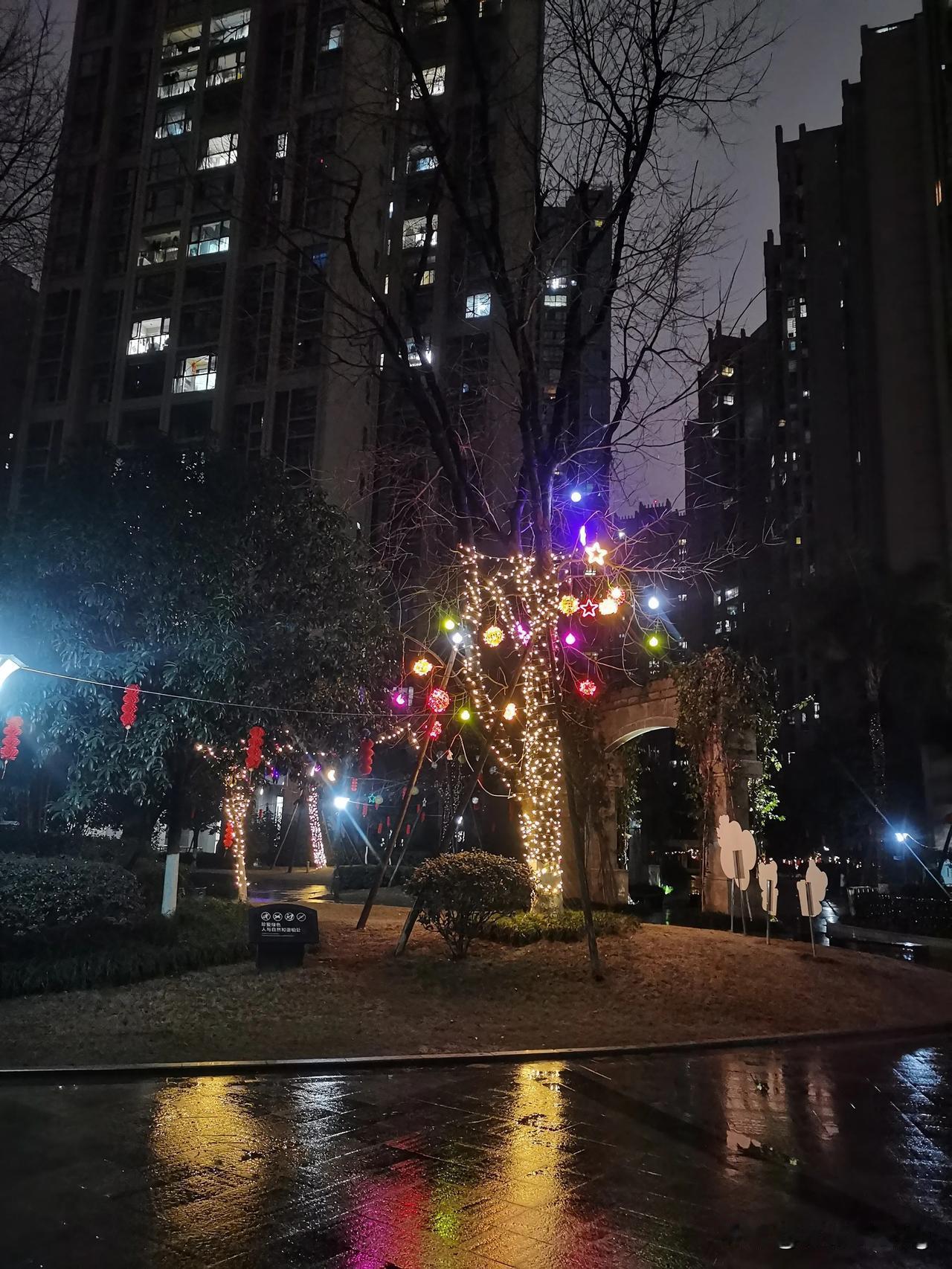 风雨迎春到，万象皆更新。

雨润城市景，银装耀眼明。

高楼夜色隐，灯火暖融融。