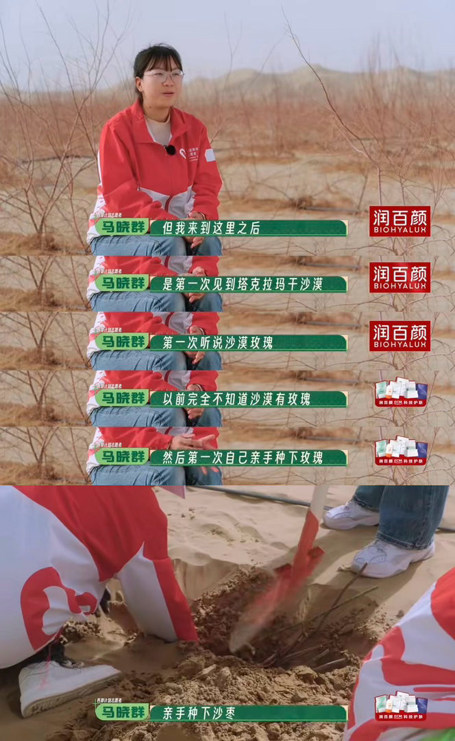 看种地吧种玫瑰的后劲有多大十个勤天奔赴塔克拉玛干沙漠种下玫瑰，治沙人的坚守与少年