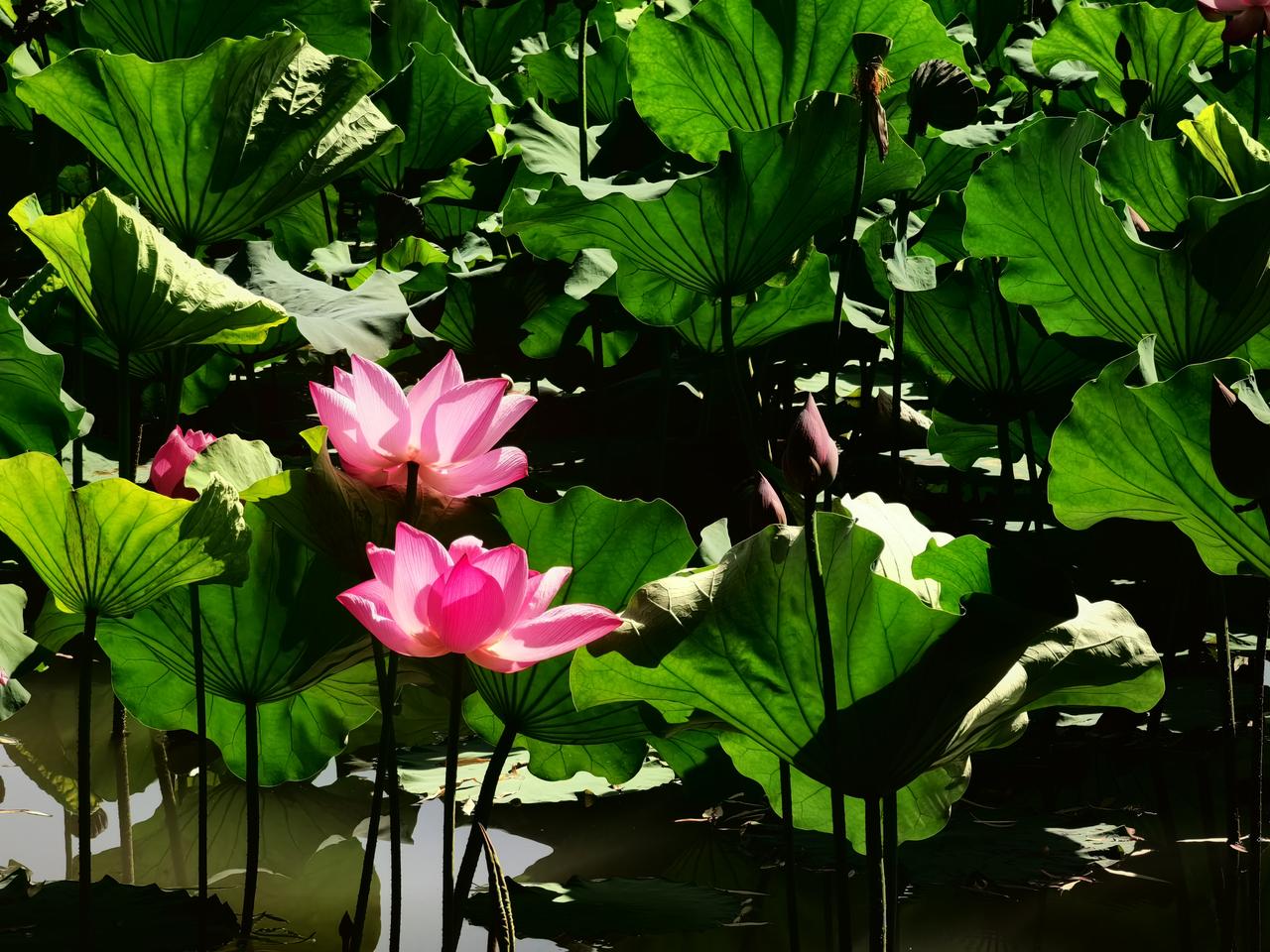 受到尊重的人，会有安全感，会有创造力，更加愿意与团队成员协作。好的企业文化，也是