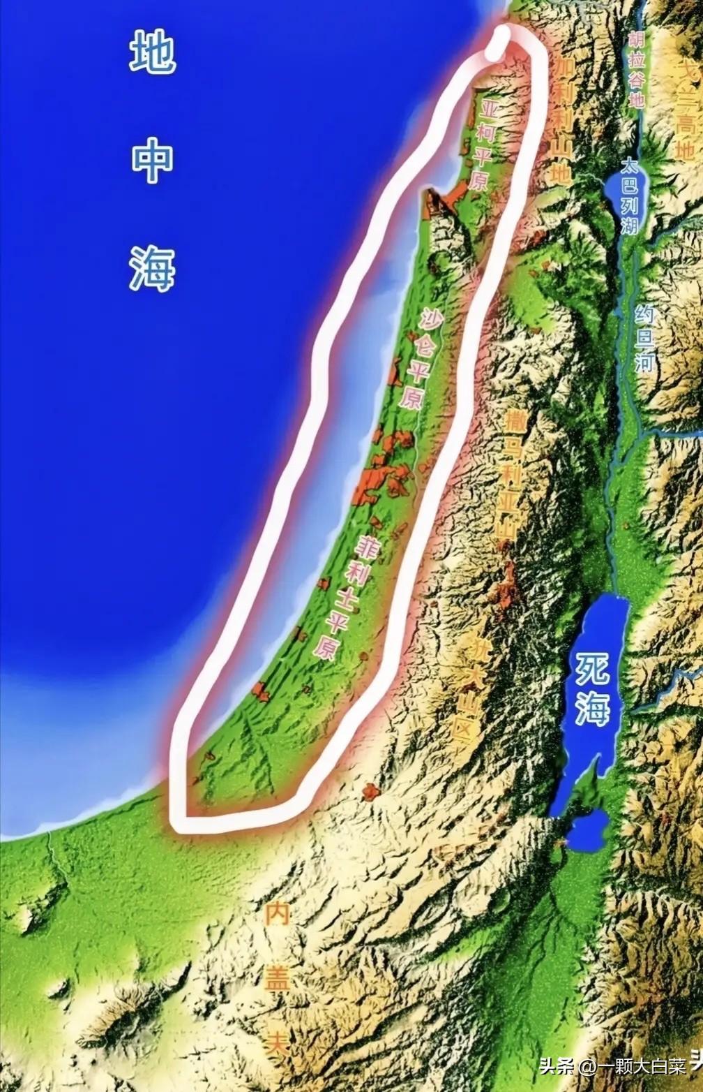 一直以为以色列这个弹丸小国到处都是干旱的沙漠和戈壁滩，原来以色列还有大片的肥沃平