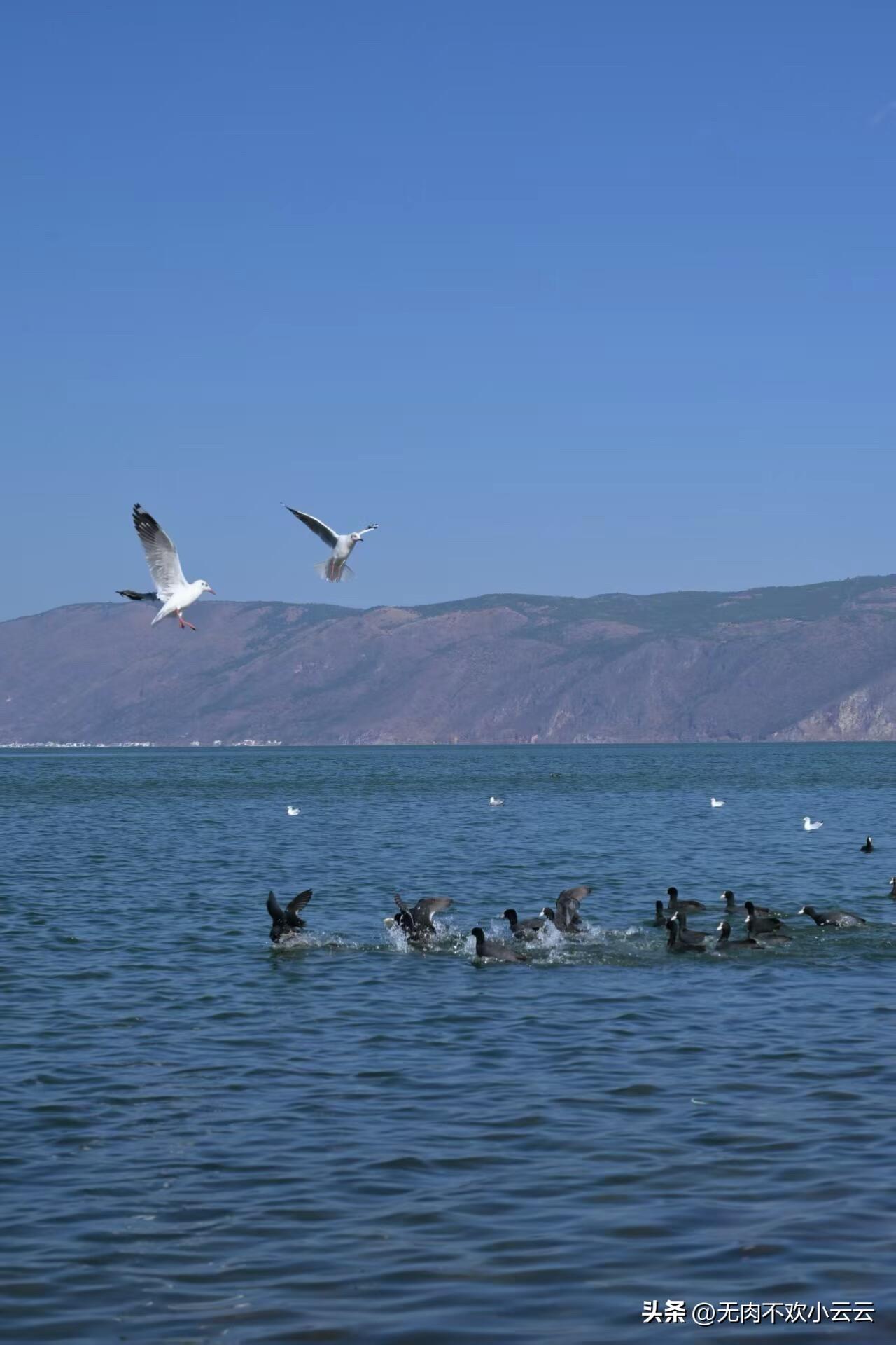 春日生活打卡季