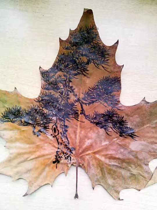 拾几片梧桐残叶，随手画上松竹梅。小小叶画，致敬岁寒三友，深秋落叶，也能寻得雅趣。