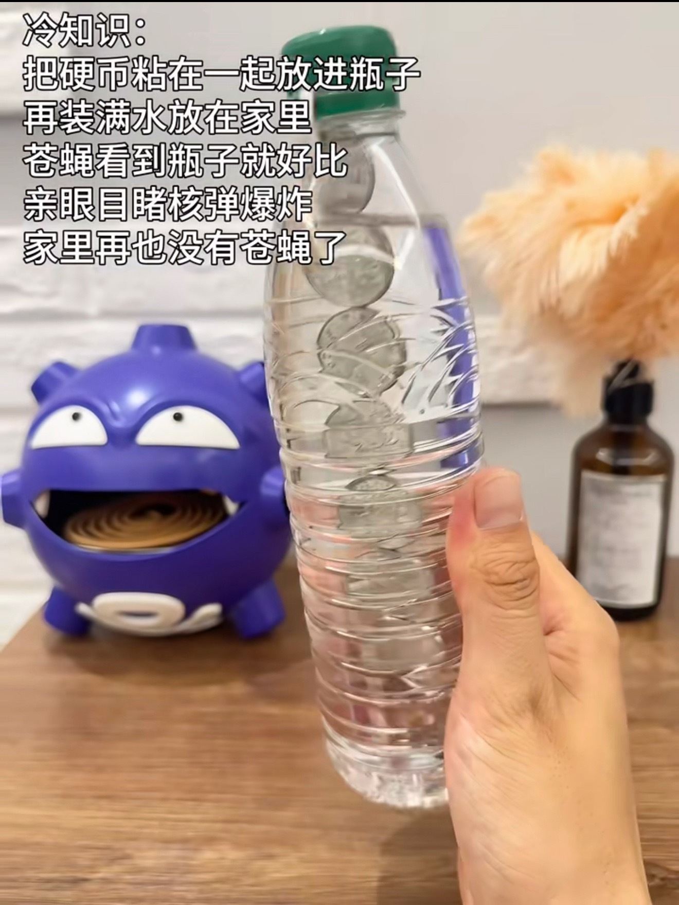 夏天 苍蝇卵，求苍蝇灭绝…世界上怎么能有苍蝇和蚊子这么令人厌恶的生物啊！！！再教