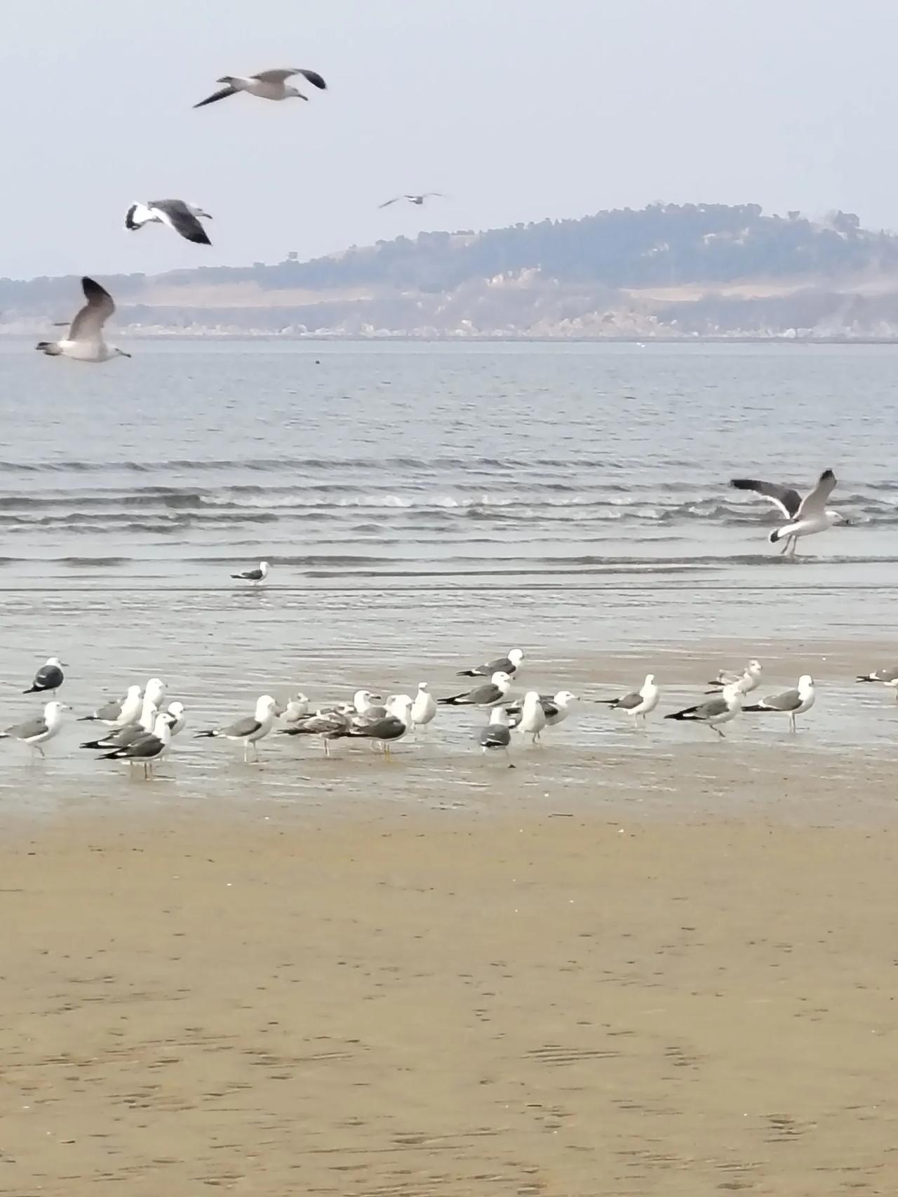 抢[赞][赞][赞]取别人之长补己之短，高！