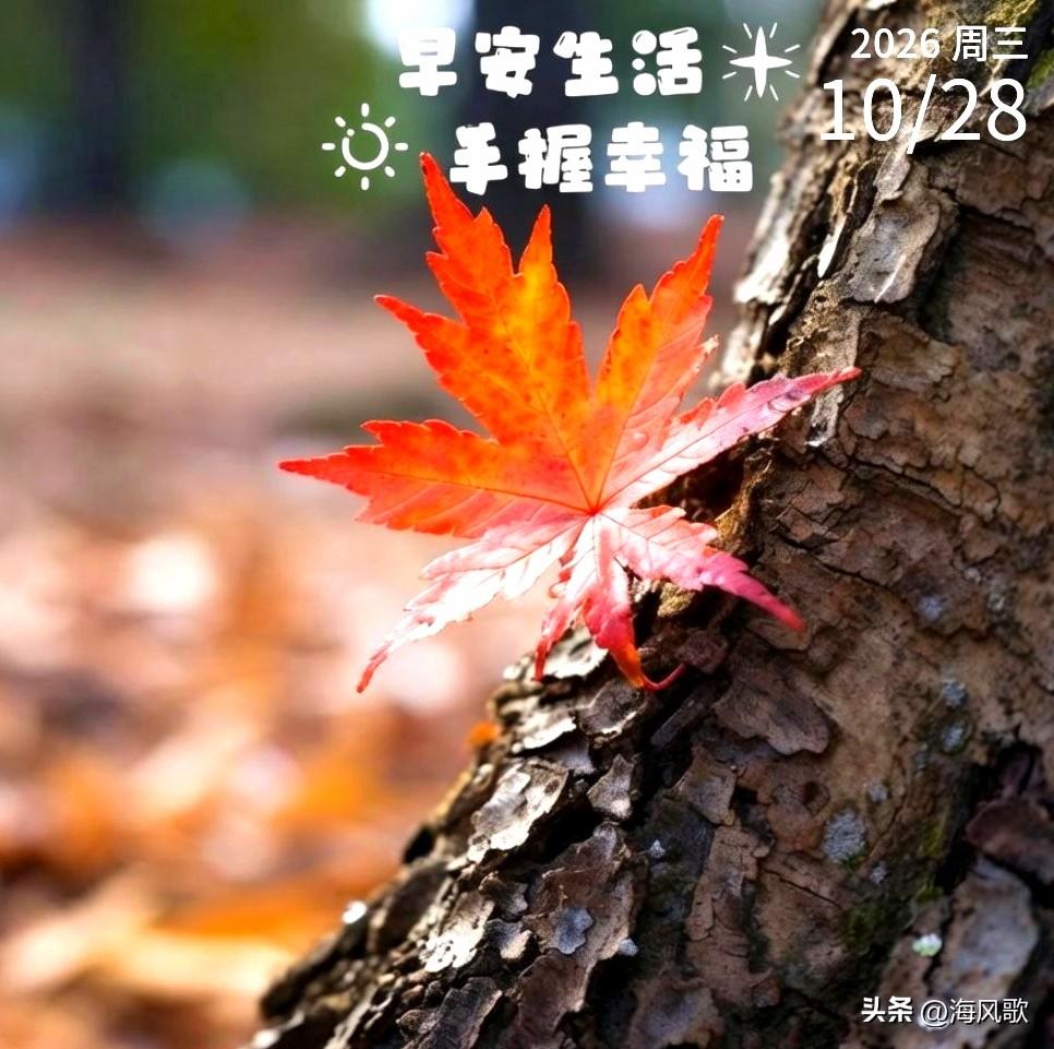 什么是亲人？世界上的亲人只有一种，那就是担心你的人和心疼你的人。不管那个人和你有