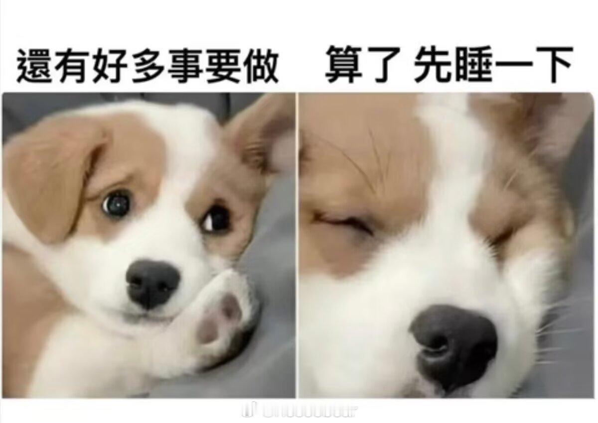 这不就是我 