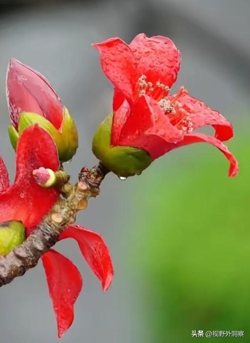 支持有贡献的以色列，还是支持没有贡献的伊朗，不可放着明白装糊涂。
       