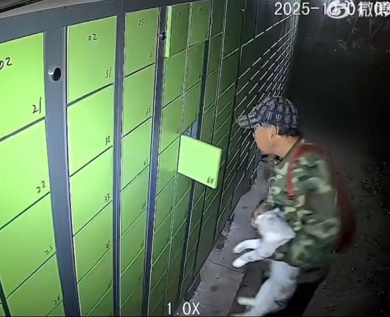 监控下一老年男子把一只猫塞到快递柜，这是想饿死这只猫啊，人内心有多阴暗、残忍才能