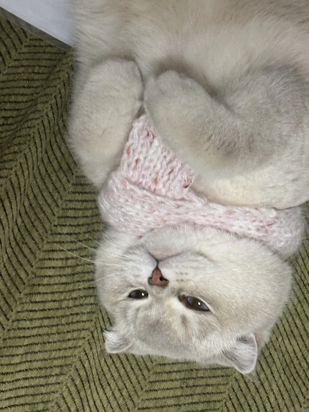 踩空气，手手要收好