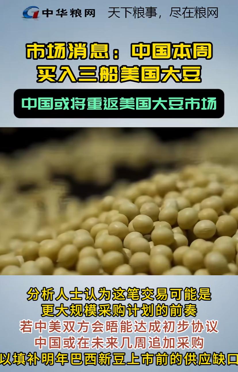 中国突然出手了！
10月29号中粮直接下单18万吨美国大豆，
芝加哥市场立马炸了