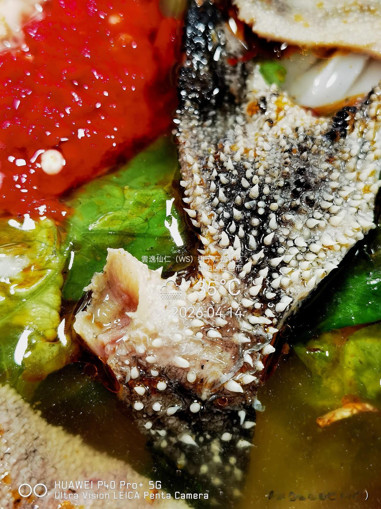 旅居生活记录（9505）广西壮族自治区百色市（190）品尝小吃50：牛百叶粉（1