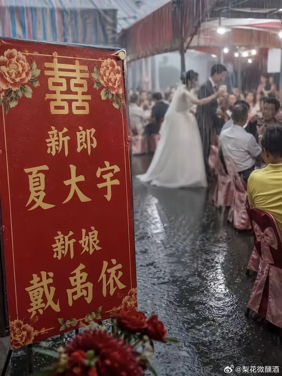 这名字也太逗了 
