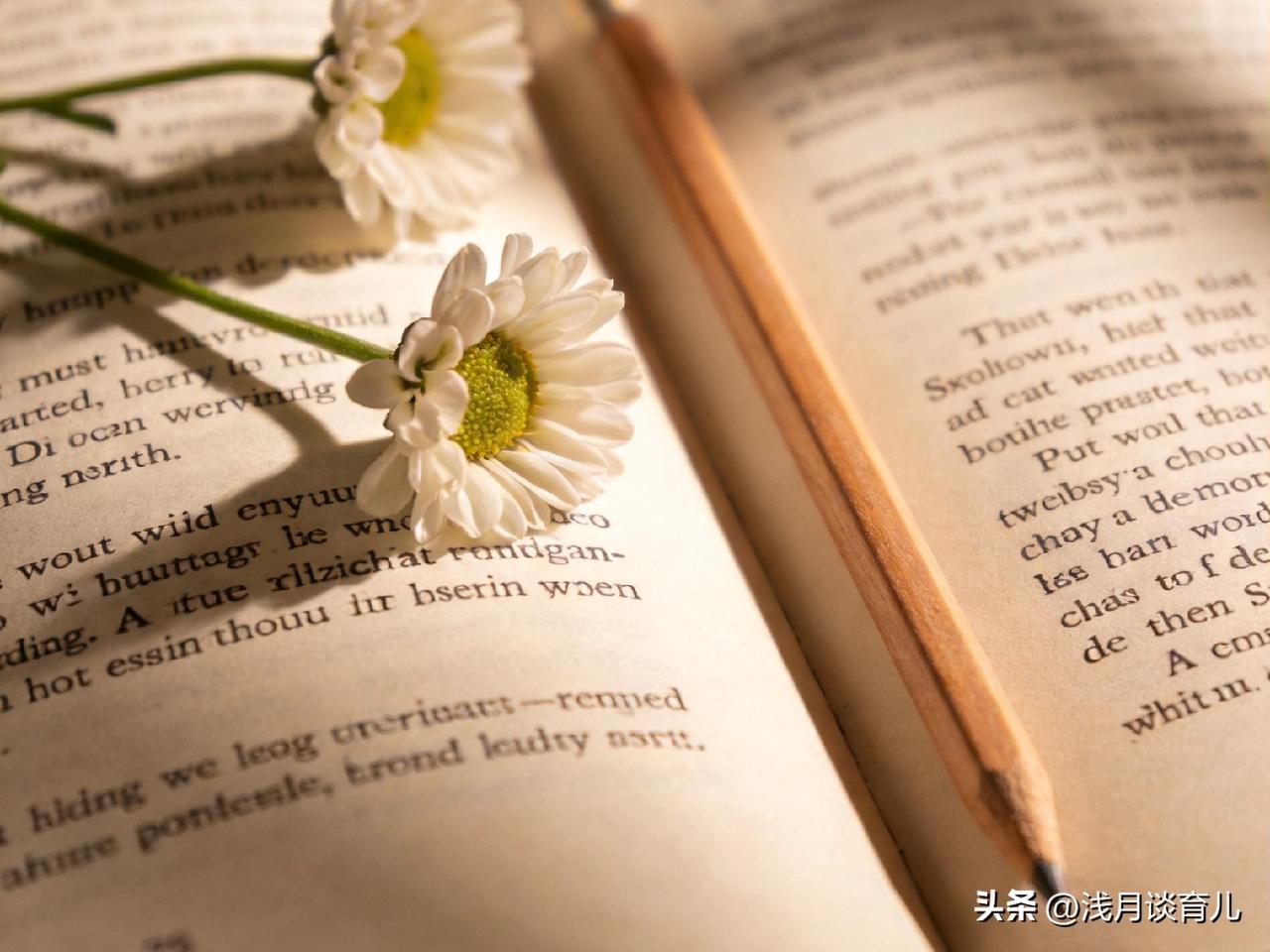 我们总在教育里追逐答案，却常常忘了教育的本质。
不是把孩子塑造成我们期待的样子，