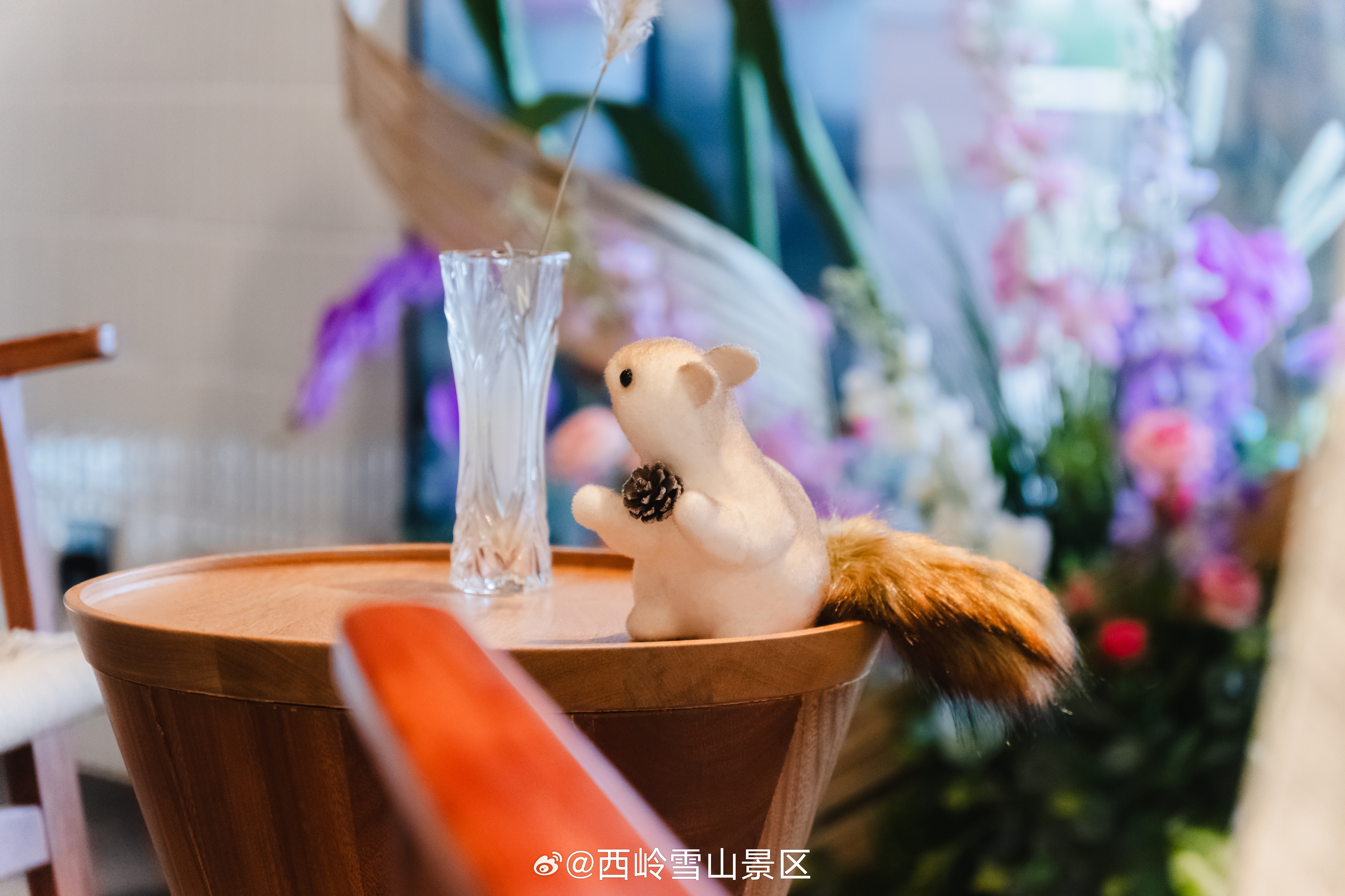 来西岭，打卡你的“发财大道”[憧憬]地点：西舍·映雪酒店#西岭雪山[超话]##成