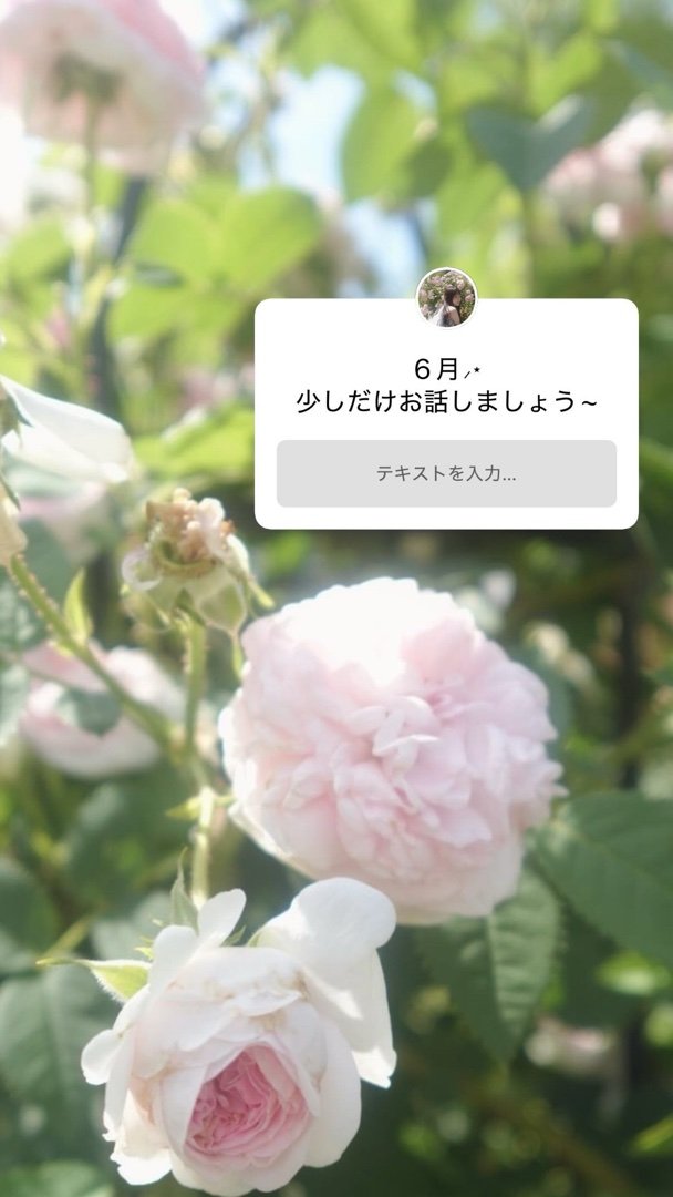 小池美波　miistagram