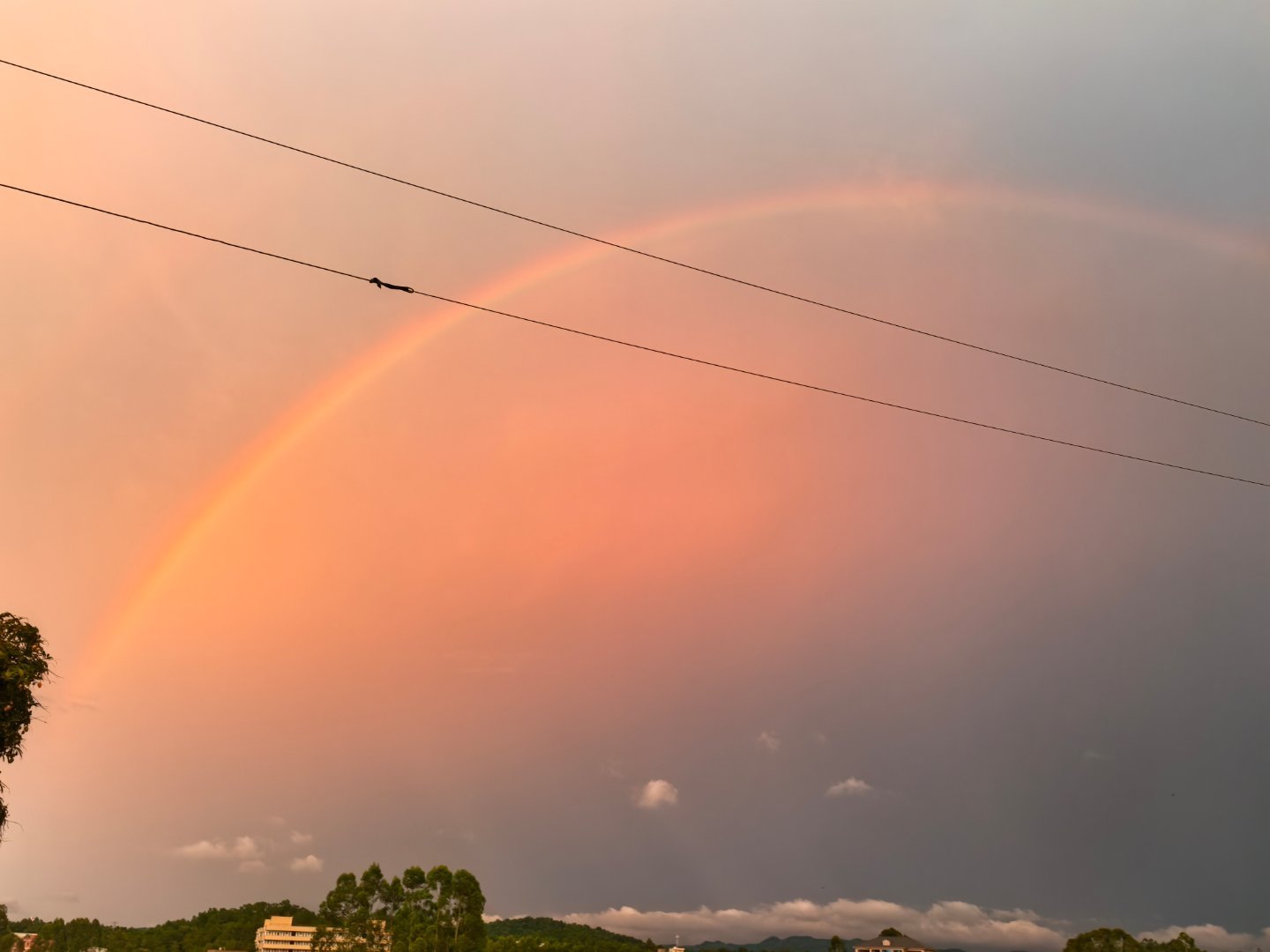 双彩虹🌈 