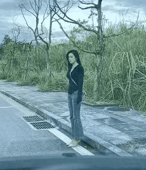 过年的猪，受惊的驴，生气的媳妇，上岸的鱼[黑线]