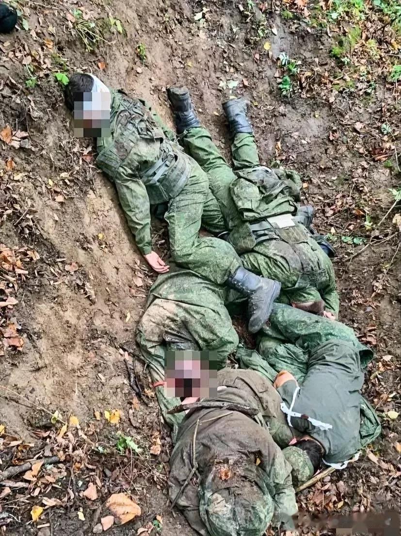 欲哭无泪，凄惨无比，伴随着阵阵枪声，一条条鲜活的生命瞬间没落于荒野，精彩的人才刚