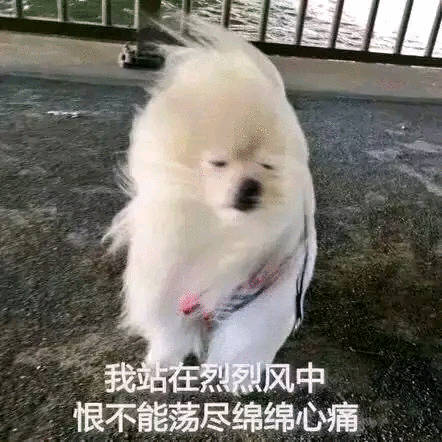 心情很down…关注我的铁铁好多个都抢到了！很高兴这几个都是我很熟悉的🆔，替他