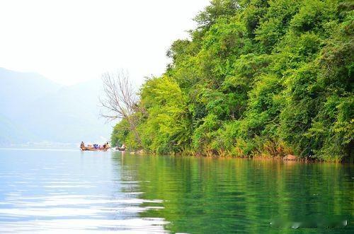 如果为农民发声，不问其理由是否有理，是否和犯国家法律相违背，都被包装吹捧为绝对正