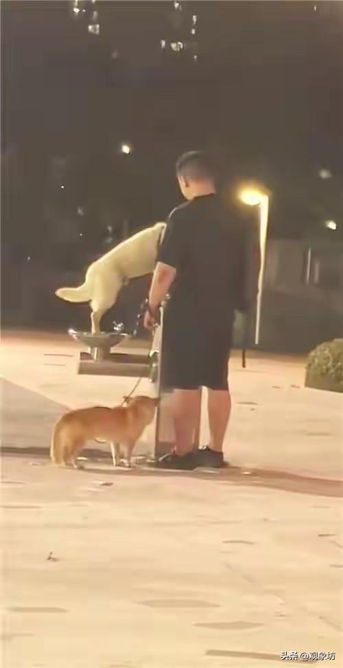 看到深圳男子用直饮水给狗洗澡的新闻，我强烈建议全国推广“养狗人专用小区”！

深