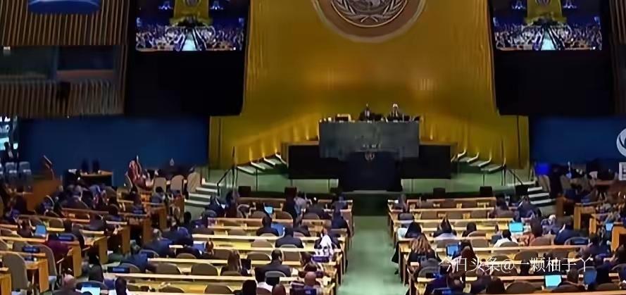 联合国大会一项关于谴责跨大西洋奴隶贸易、认定其为最严重反人类罪的决议，最终以压倒