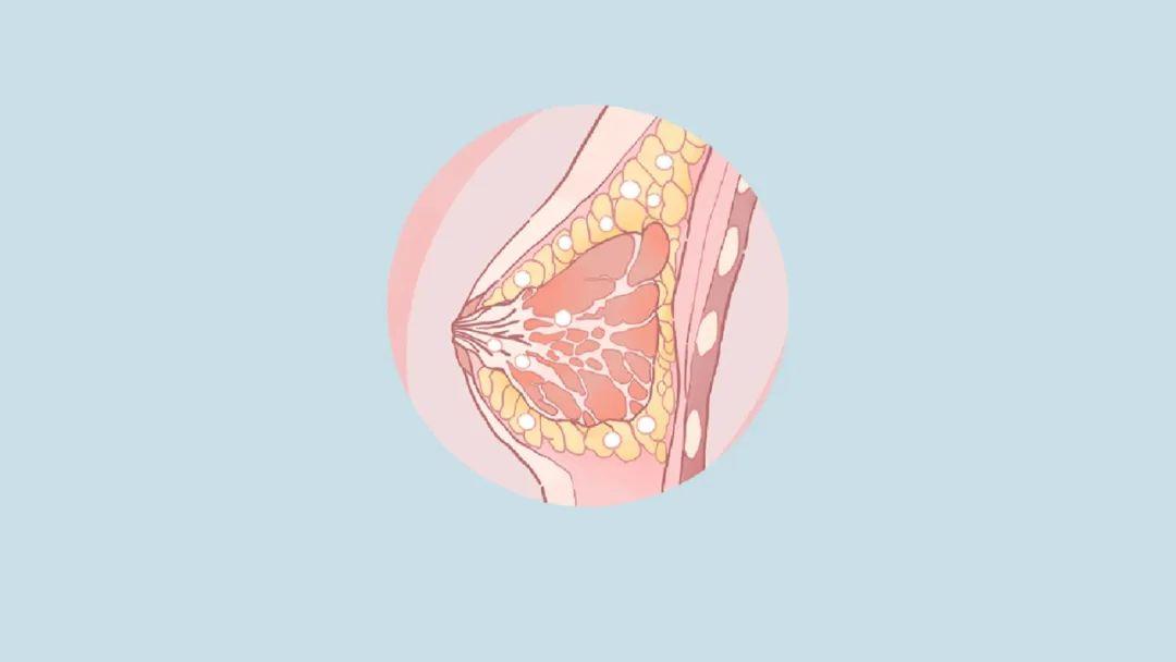 男友喜欢吮吸我的乳头，还经常咬破，医生：或会遭受2大伤害

乳头皮肤薄、神经末梢